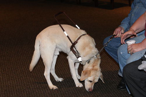 BILL8455.jpg BILL8455.jpg