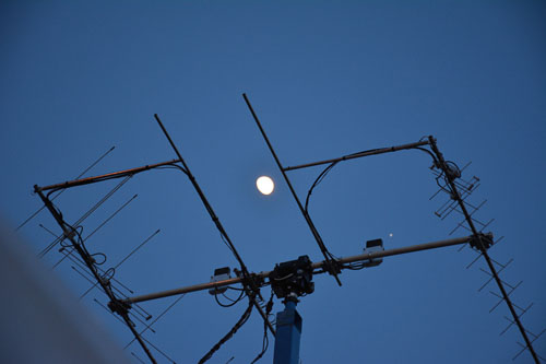DSC_8515-Large.jpg DSC_8515-Large.jpg