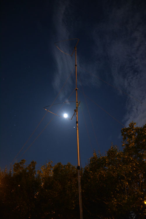 DSC_8525-Large.jpg DSC_8525-Large.jpg