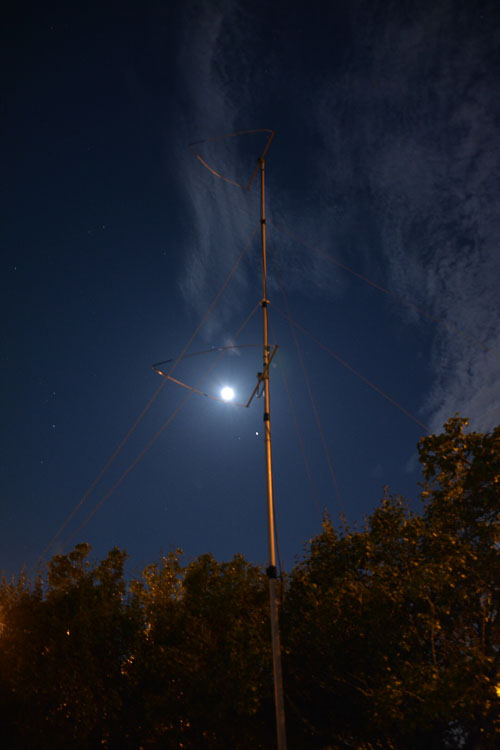 DSC_8526-Large.jpg DSC_8526-Large.jpg