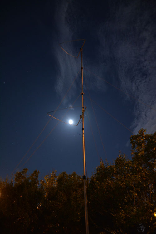 DSC_8527-Large.jpg DSC_8527-Large.jpg