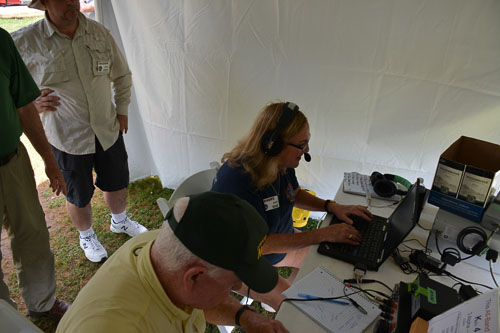 DSC_8556-Large.jpg DSC_8556-Large.jpg