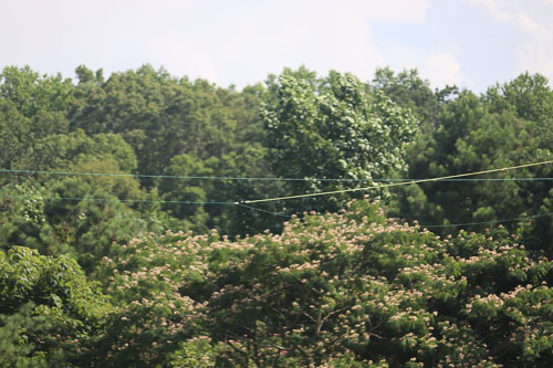 KN4TCI-IMG_3483.jpg KN4TCI-IMG_3483.jpg